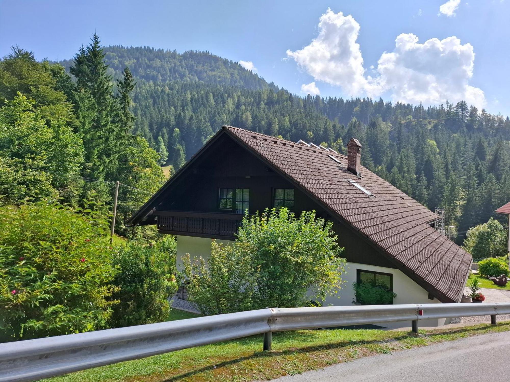 Apartma Cvrsta Trojka Jesenice Zewnętrze zdjęcie