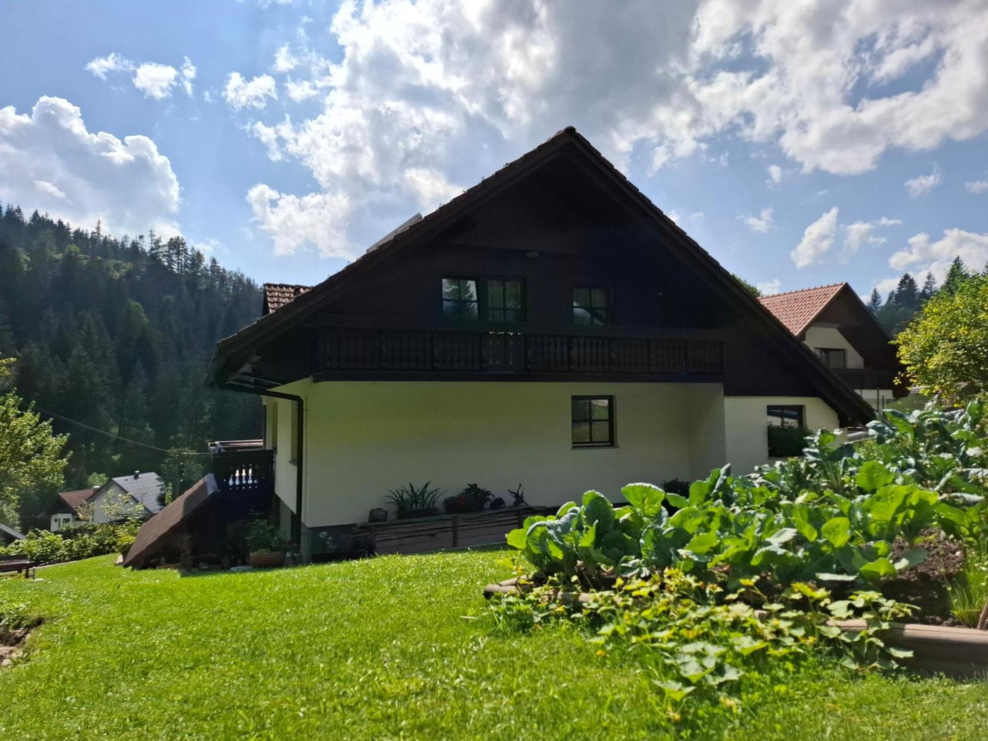 Apartma Cvrsta Trojka Jesenice Zewnętrze zdjęcie